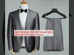 Hafif Elastisite 465GSM Parlak Kumaş Metal Tel TR Takım için Kumaş